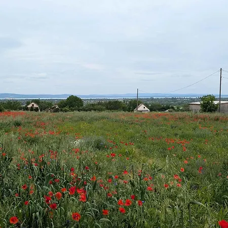 In - Balaton 53892 Шиофок